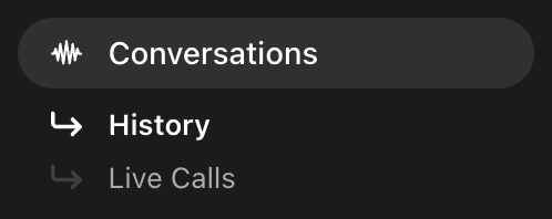 Sidebar showing Conversations with History and Live Calls navigation items.