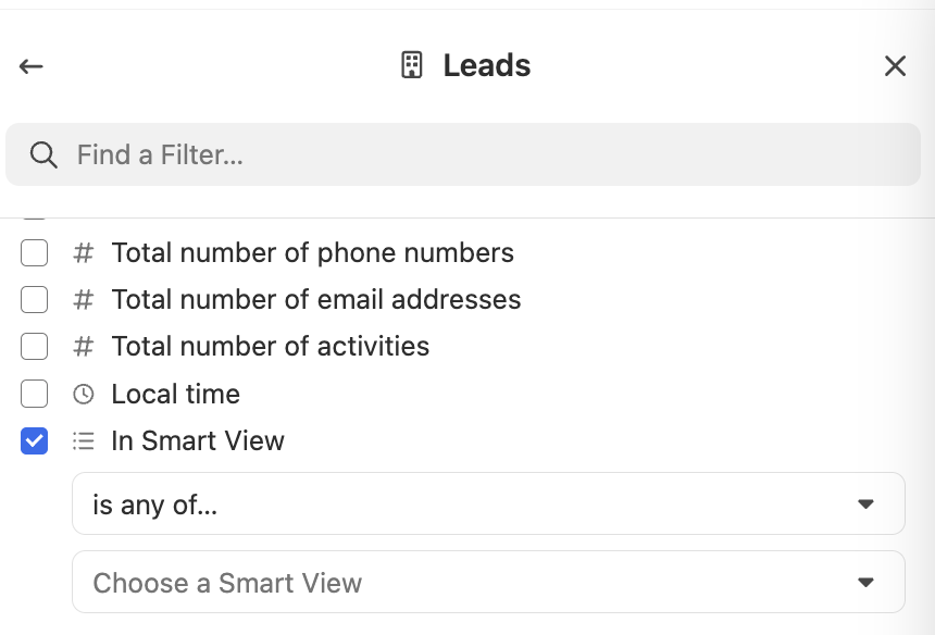 Sidebar filter panel for Leads showing search field and Smart View selection.