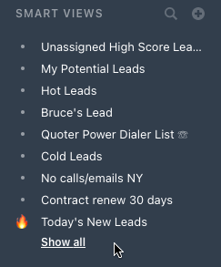 Sidebar list of Smart Views including Unassigned High Score Leads and Today's New Leads.